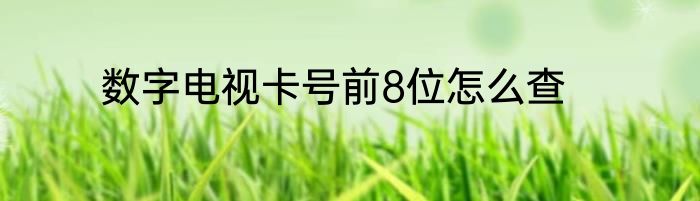 数字电视卡号前8位怎么查