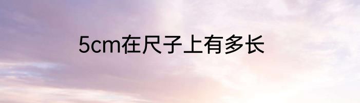 5cm在尺子上有多长