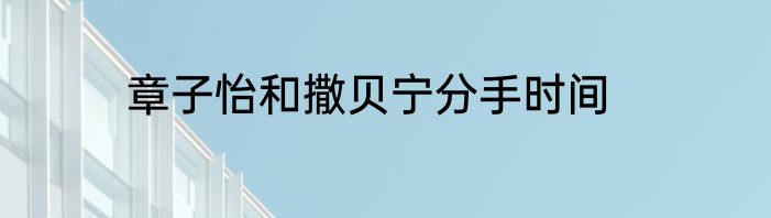 章子怡和撒贝宁分手时间