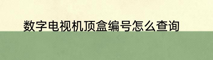 数字电视机顶盒编号怎么查询