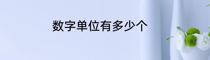 数字单位有多少个