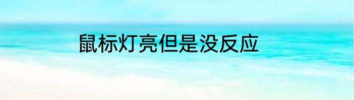 鼠标灯亮但是没反应