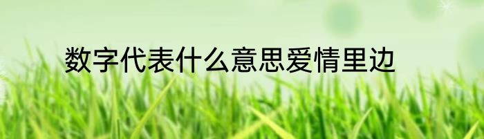 数字代表什么意思爱情里边