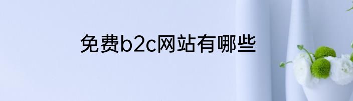 免费b2c网站有哪些