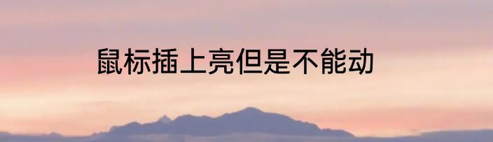 鼠标插上亮但是不能动