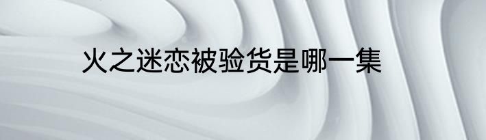 火之迷恋被验货是哪一集