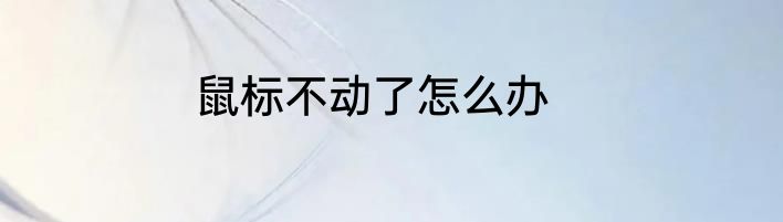 鼠标不动了怎么办