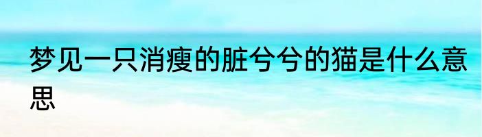 梦见一只消瘦的脏兮兮的猫是什么意思