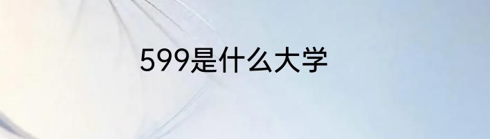 599是什么大学