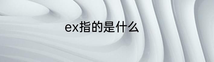 ex指的是什么