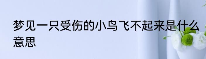 梦见一只受伤的小鸟飞不起来是什么意思