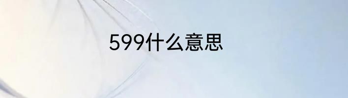 599什么意思