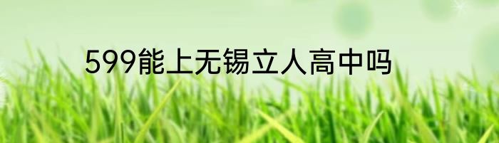 599能上无锡立人高中吗