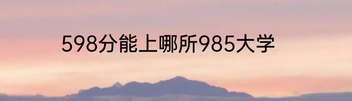 598分能上哪所985大学