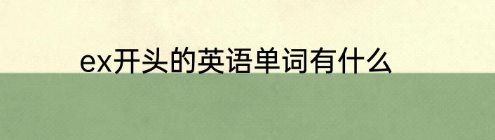 ex开头的英语单词有什么