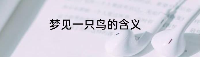 梦见一只鸟的含义