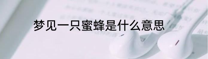 梦见一只蜜蜂是什么意思
