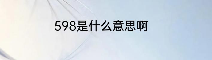 598是什么意思啊