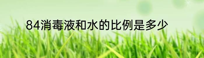 84消毒液和水的比例是多少