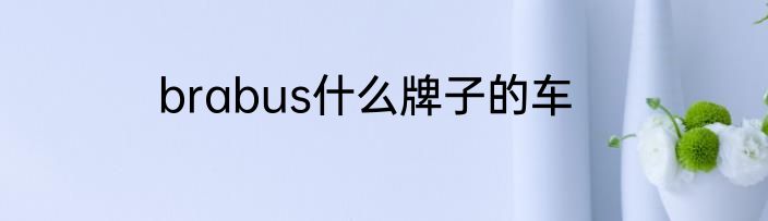 brabus什么牌子的车