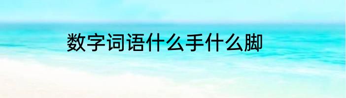 数字词语什么手什么脚