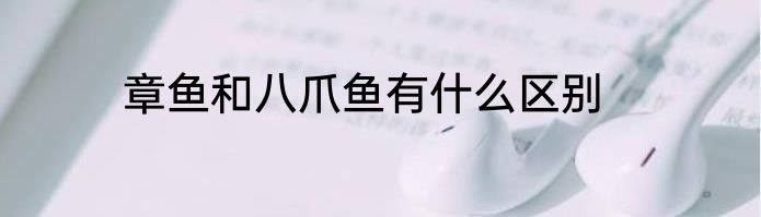 章鱼和八爪鱼有什么区别
