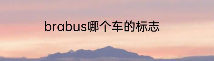 brabus哪个车的标志