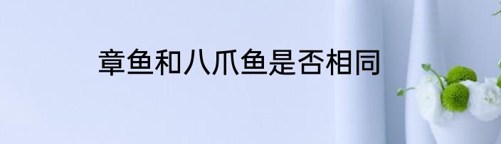 章鱼和八爪鱼是否相同
