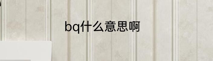 bq什么意思啊