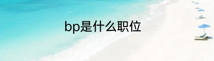 bp是什么职位