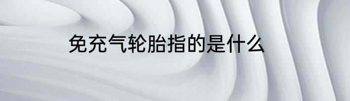 免充气轮胎指的是什么