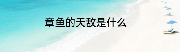 章鱼的天敌是什么