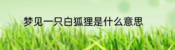 梦见一只白狐狸是什么意思