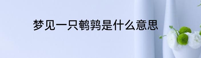 数字编码表示的含义