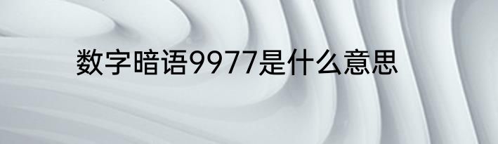数字暗语9977是什么意思