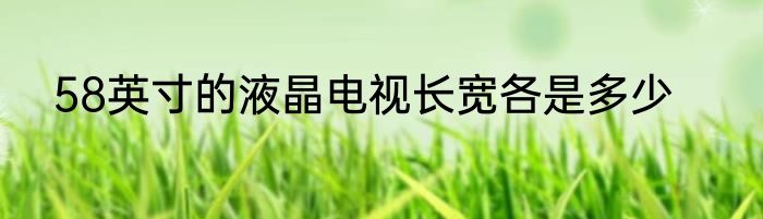 58英寸的液晶电视长宽各是多少