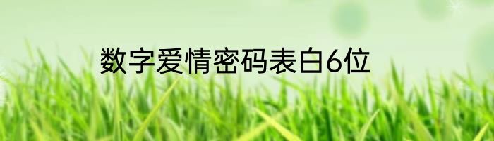 数字爱情密码表白6位