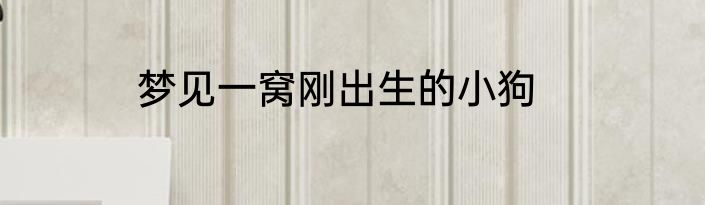 数字爱情密码表白6位数字爱情密码表白6位有哪些