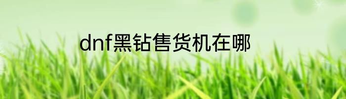 dnf黑钻售货机在哪