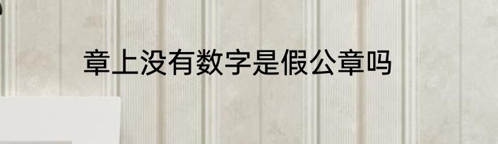 章上没有数字是假公章吗