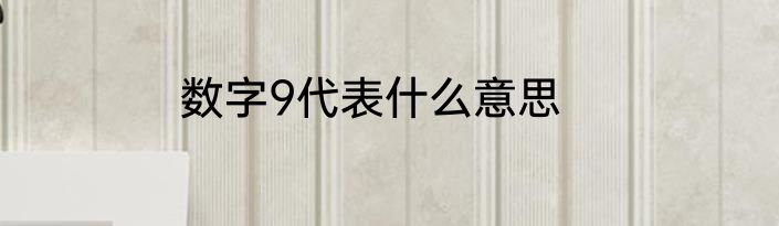 数字9代表什么意思