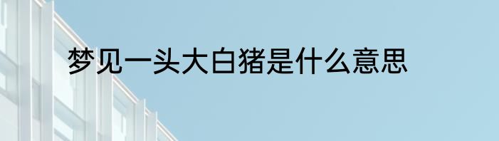 梦见一头大白猪是什么意思