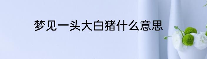 梦见一头大白猪什么意思