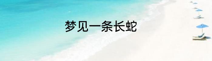 梦见一条长蛇