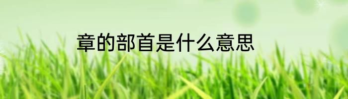 章的部首是什么意思