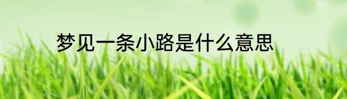 梦见一条小路是什么意思