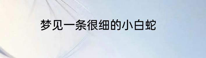 梦见一条很细的小白蛇