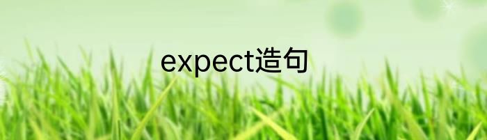 expect造句