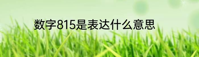 数字815是表达什么意思