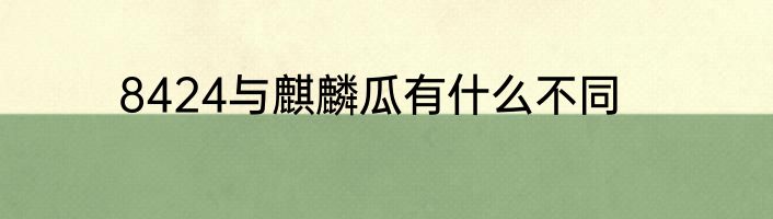 8424与麒麟瓜有什么不同